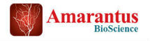 amarantus bioscience