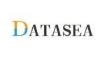 datasea inc. logo